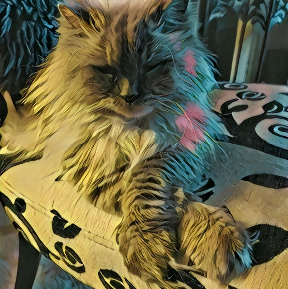 Charlie S h a d e s - Picture 2 of 2